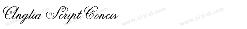 Anglia Script Concis字体转换